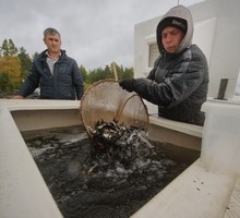 Лоббисты «европейских ценностей» пытаются запретить любую критику власти и себя любимых