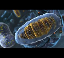 «Эффективный энергоблок»