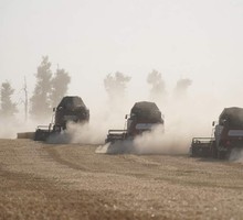 Природа Новой Земли восстановилась после ядерных испытаний