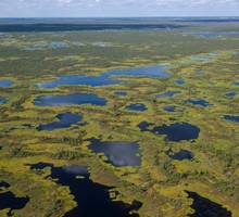 Люди против белых медведей