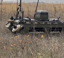 Развели, как лохов! Сирийские летчики подставили американских «Рапторов» прямо под российский С-400