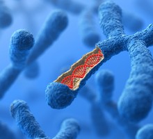 О современной медицине и скрытых хромосомных аномалиях