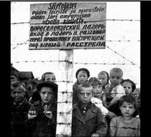 10 самых древних мостов которые используются до сих пор