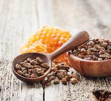 О полезных свойствах продуктов пчеловодства