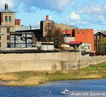«Спасайтесь под одеялом!». Новогодние пугалки от либералов