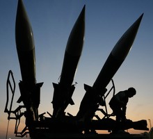 Экологи предложили выращивать питонов для экологичного производства мяса