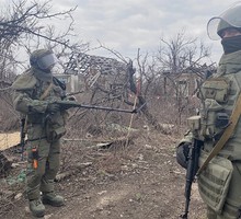 Эстония готовит диверсионный пояс на границе с Россией