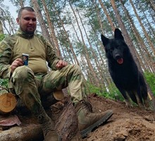 Поразительные истории животных