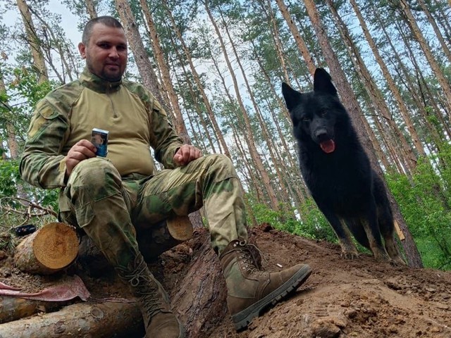 Поразительные истории животных