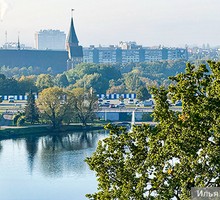 Коперник заимствовал научные идеи у арабов