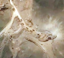 Американская разведка с удивлением рассматривает снимки Ирана, сделанные из космоса