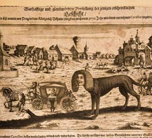 Как в XVI веке зарождались ложные «новости» о России