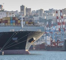 Как украинцы и европейцы не поделили российское зерно с Израилем