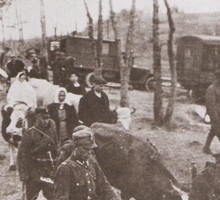 «Исчезло само понятие «украинское население»