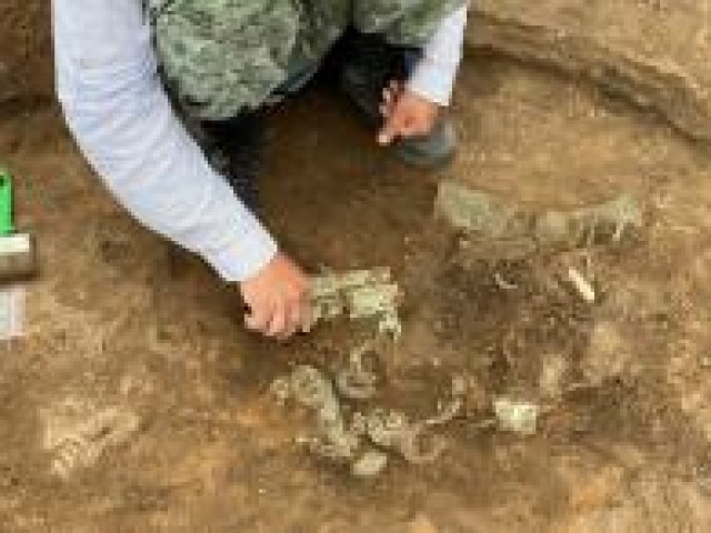 На Урале найден крупнейший жертвенный комплекс
