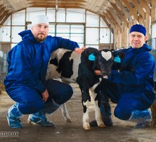Первый из пробирки