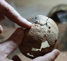 Находки в 5000-летних могилах меняют взгляд на Ямал