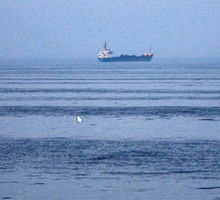Волны в российской Арктике достигают высоты 50 метров Волны в российской Арктике достигают высоты 50 метров